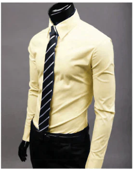 Herrenhemd Slim Fit | Business Langarm Umlegekragen | Anzughemd Taillierter Schnitt Büro